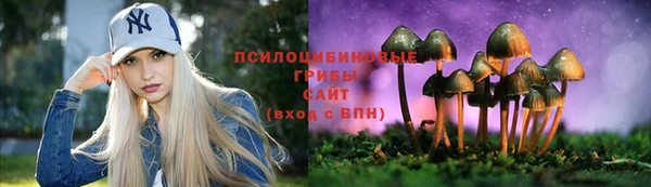 соль курить ск Богданович