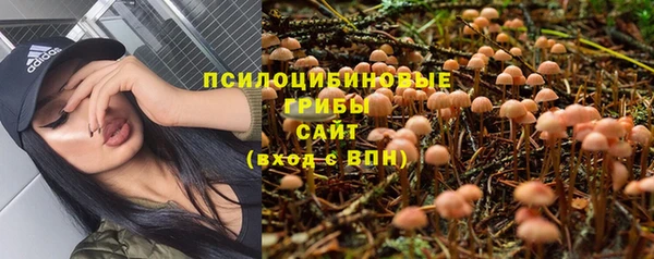 MDMA Богородицк