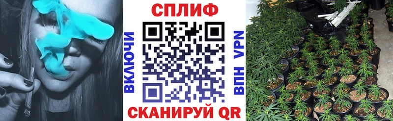 гидра ССЫЛКА  Вельск  Марихуана гибрид 